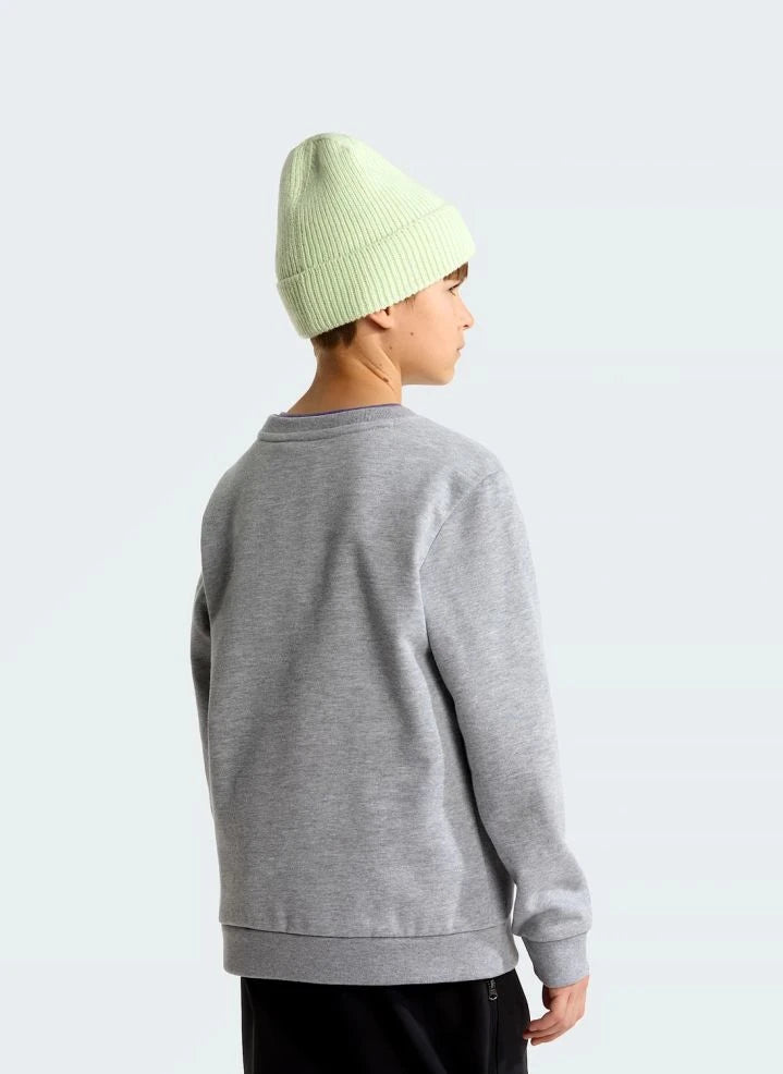 The North Face - Simple Done Sweatshirt | Gray Melange