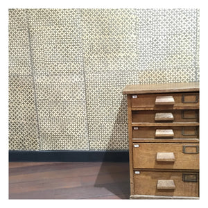 Le Monde Sauvage - Star Wallpaper - 12-Piece Set | Gray