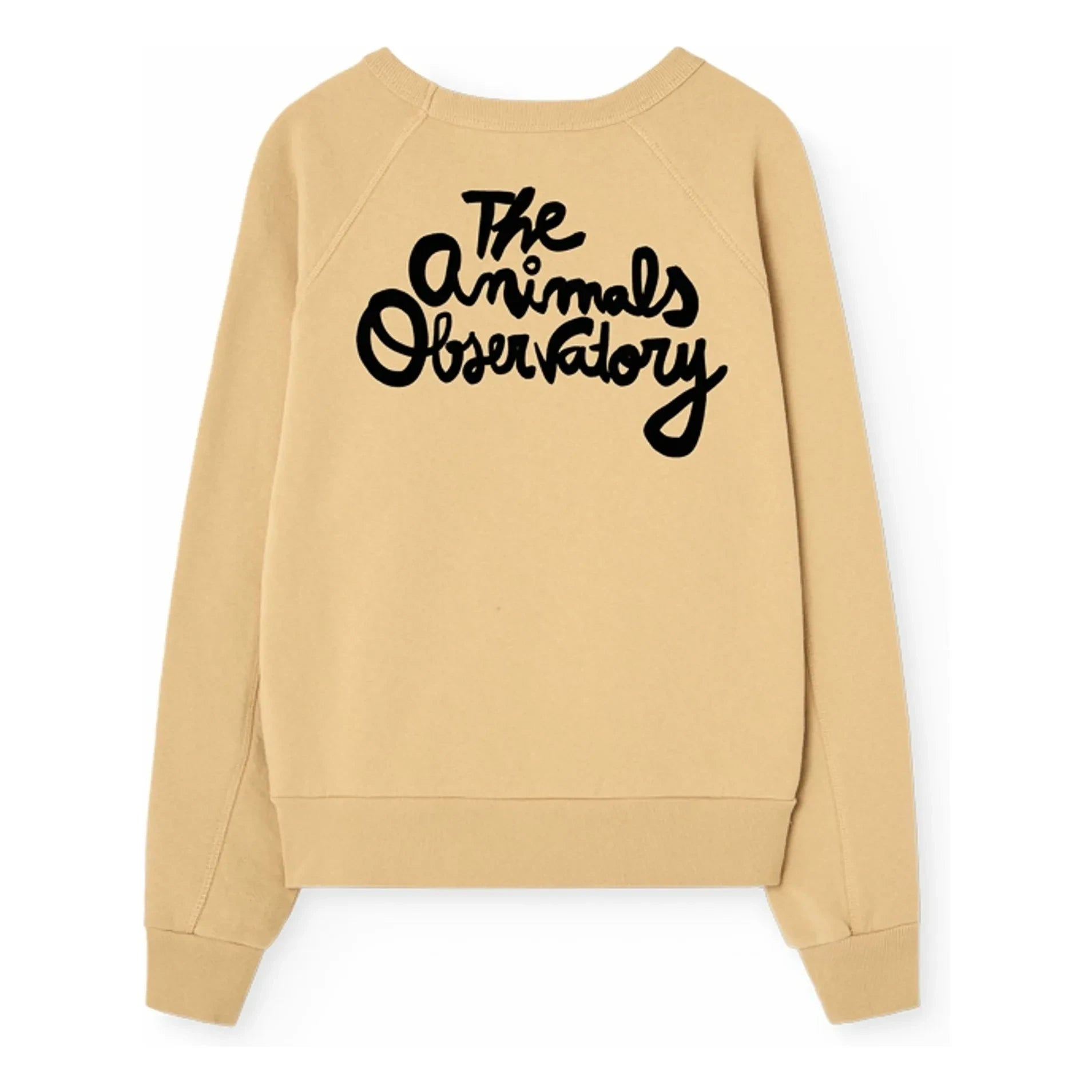 The Animals Observatory - Shark sweatshirt | Bej