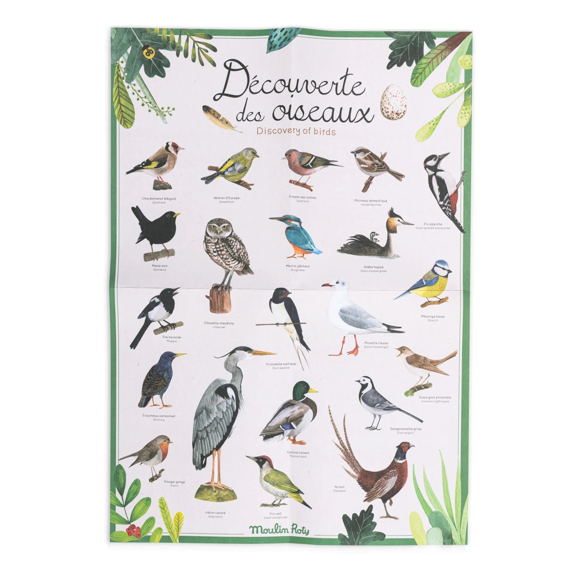 Moulin Roty - Bird Discovery Set