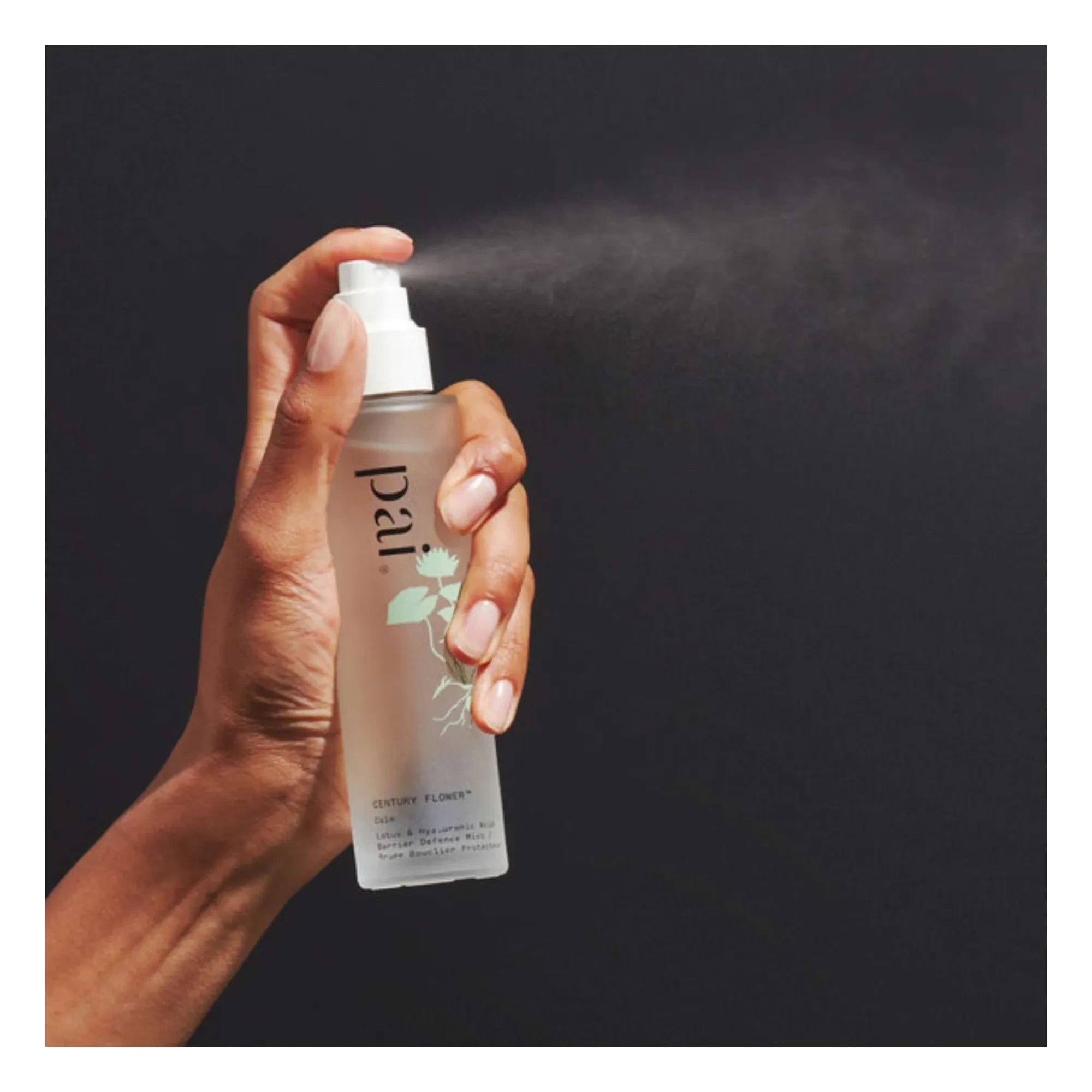 Pai Skincare - Century Flower Barrier Defense Mist - 100 ml