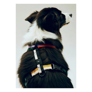 Hay - Harness Sets