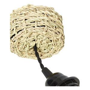Cosydar - Lighting Fixture and Palm Leaf Ceiling Rose