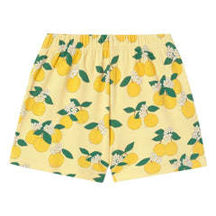 Tinycottons - Orange Organic Cotton Ribbed Shorts | Light Yellow
