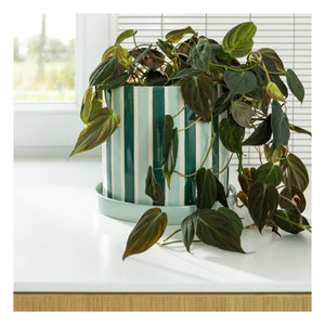 &Klevering - Clash Stripe Plant Pot | Green