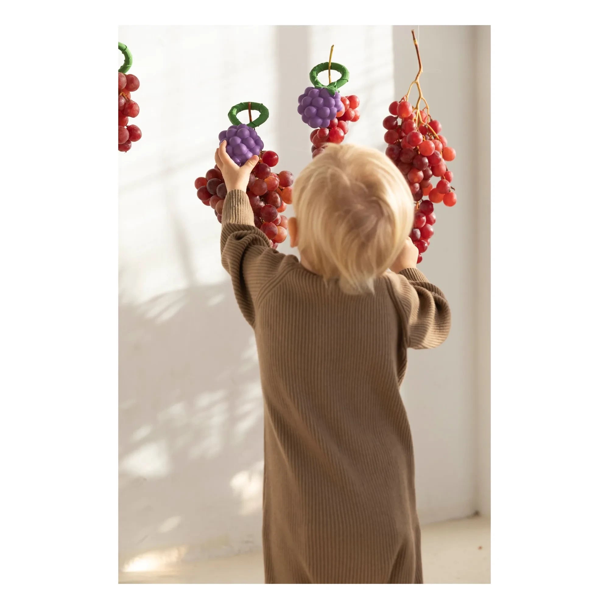Oli & Carol - Grape Teething Rattle
