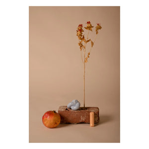 Schneid Studio - Seramik Askı Kancası | Mercan