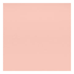 Vitra - DAW Chair - Maple Wood Base - Charles & Ray Eames | Soft Pink
