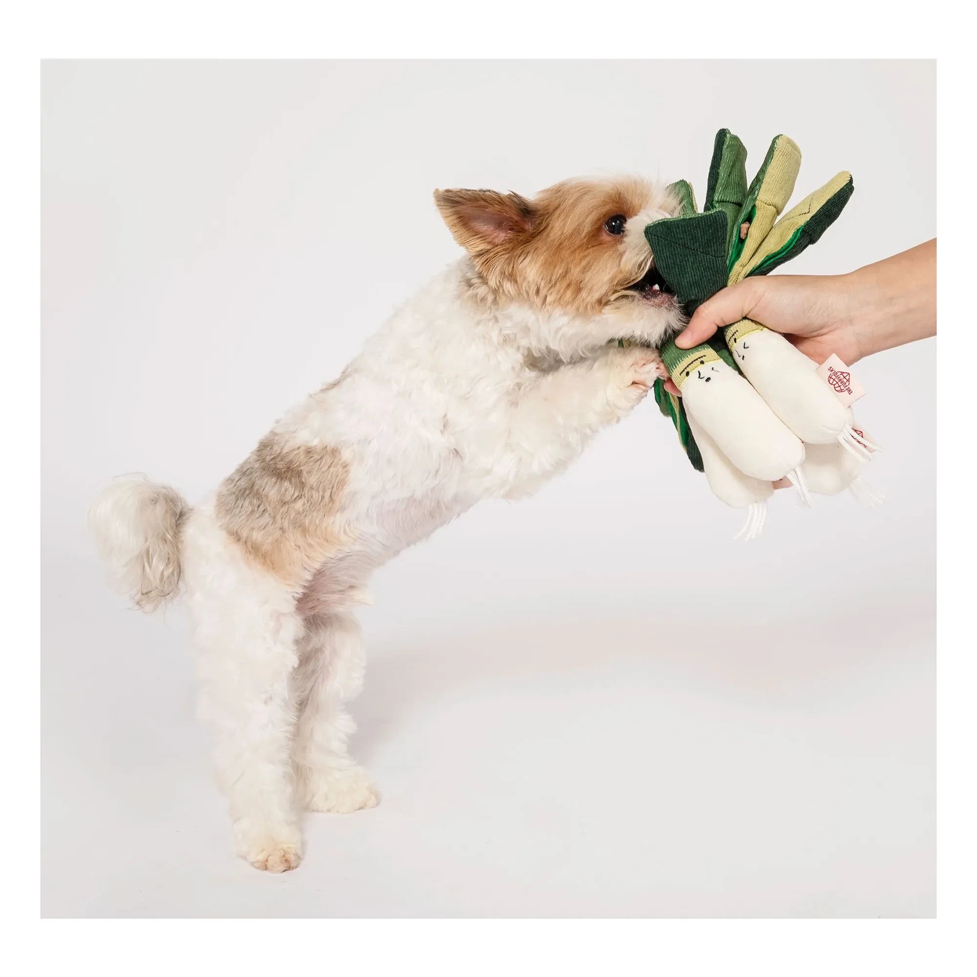 The Furry Folks - Green Onion Plush Toy | Green