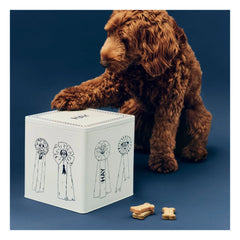 Hay - Food box | Blue