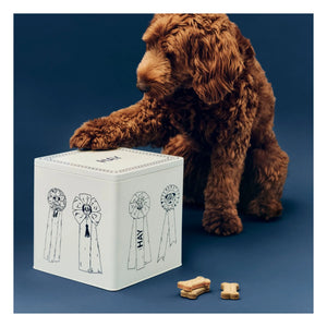 Hay - Food box | Blue