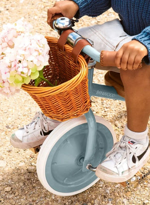 Banwood - Metal and Wooden Tricycle | Teal Blue