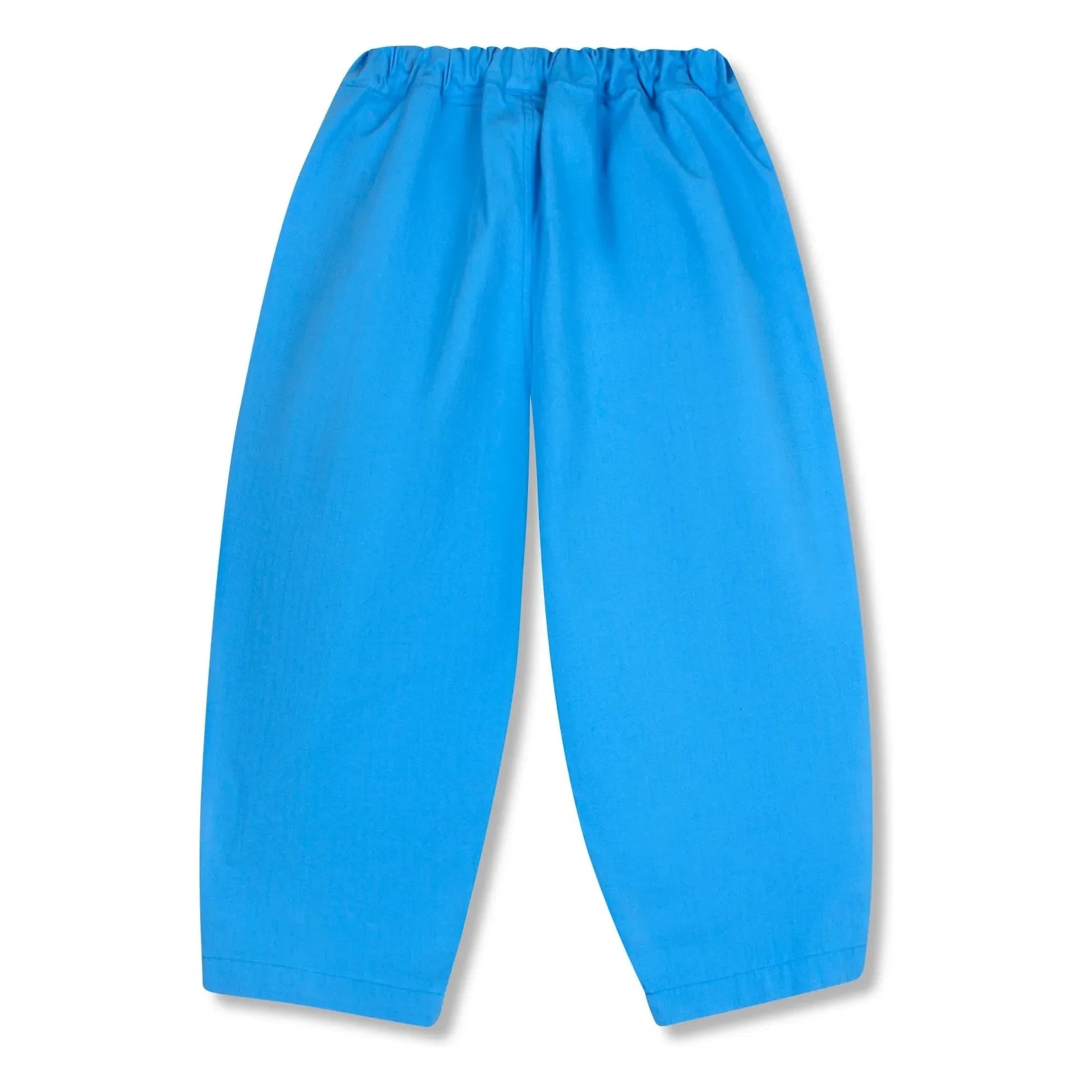 Wynken - Blue Cargo Pants