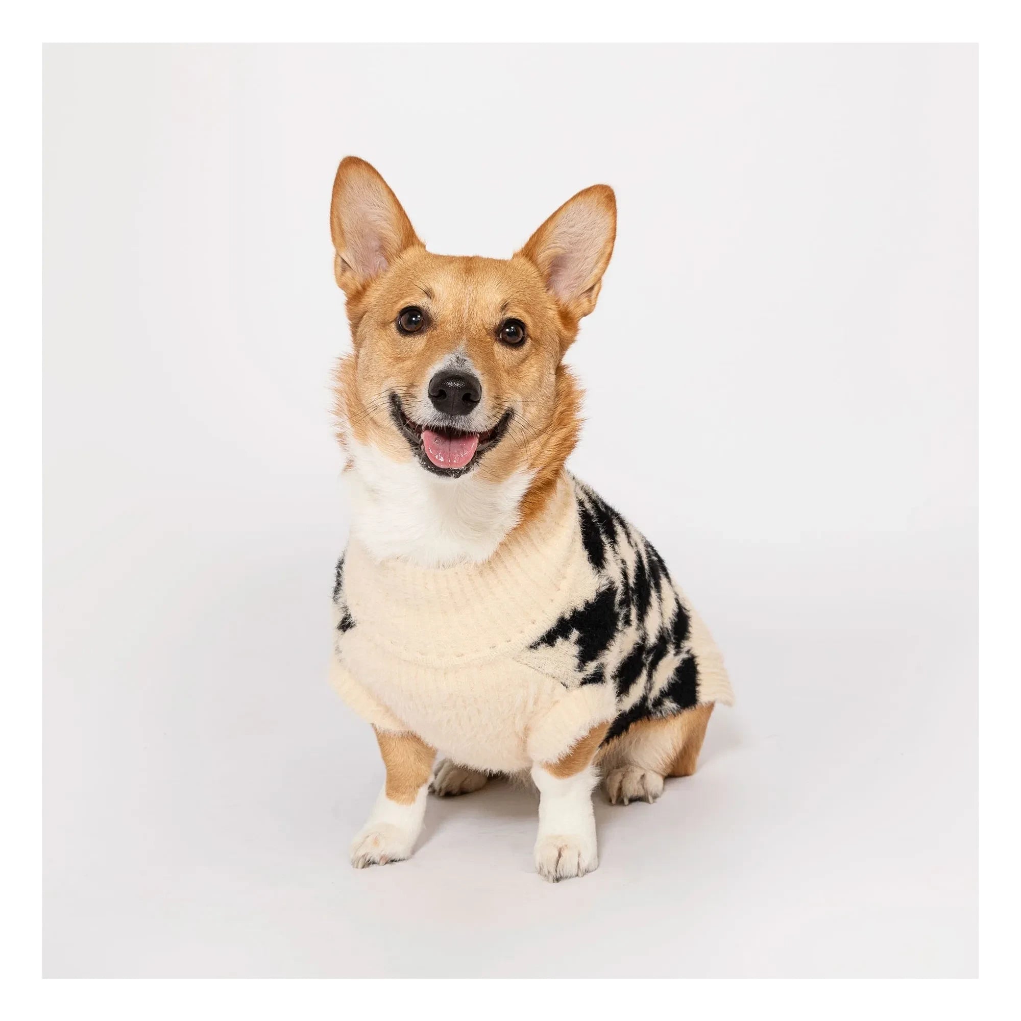 The Furry Folks - Pixmond Sweater | Black