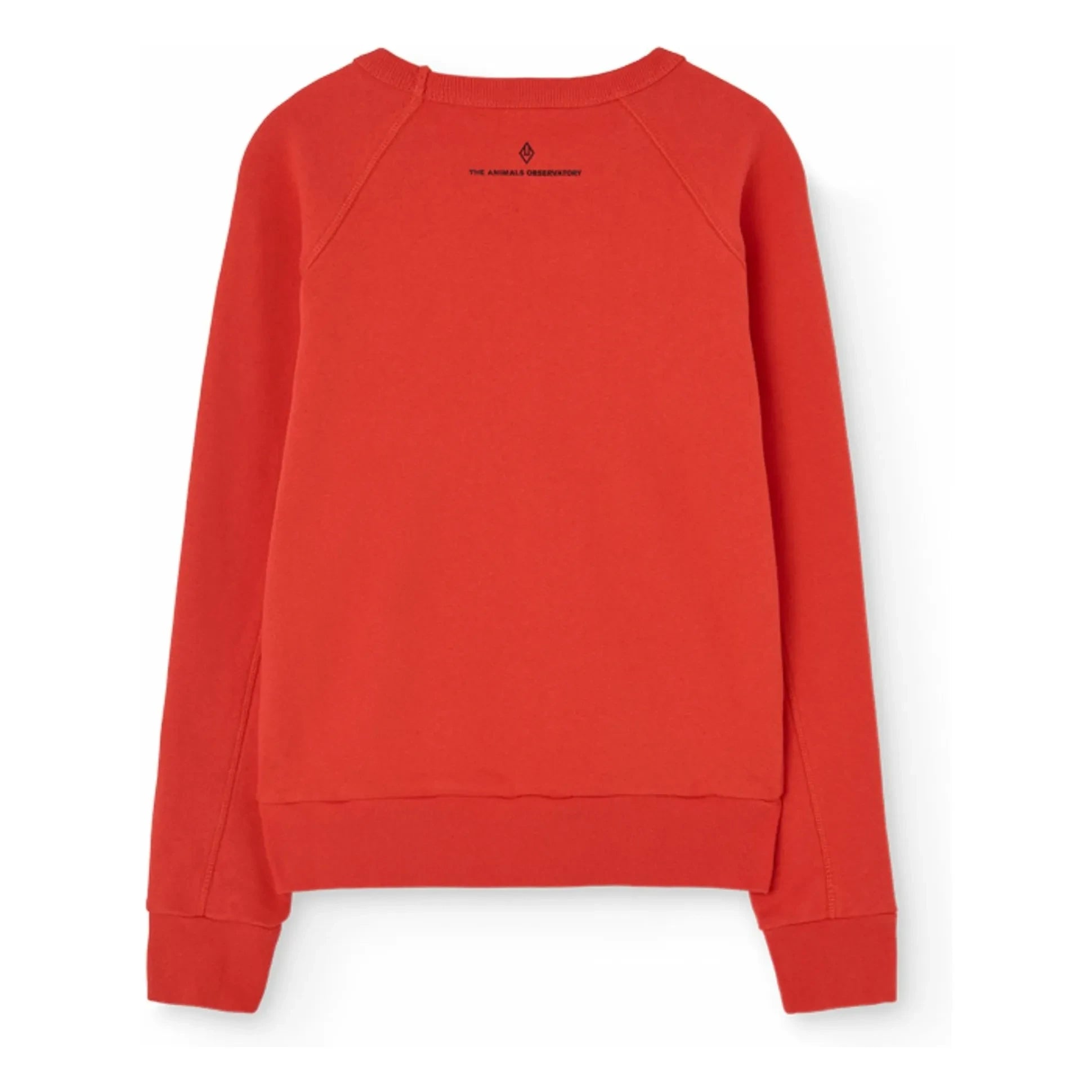 The Animals Observatory - Sweat Shark My Friends | Red