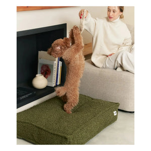 Cafide - Cuadra Buckwheat Dog Bed | Green