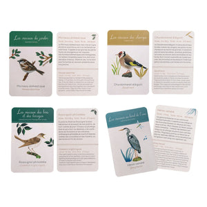 Moulin Roty - Bird Discovery Set