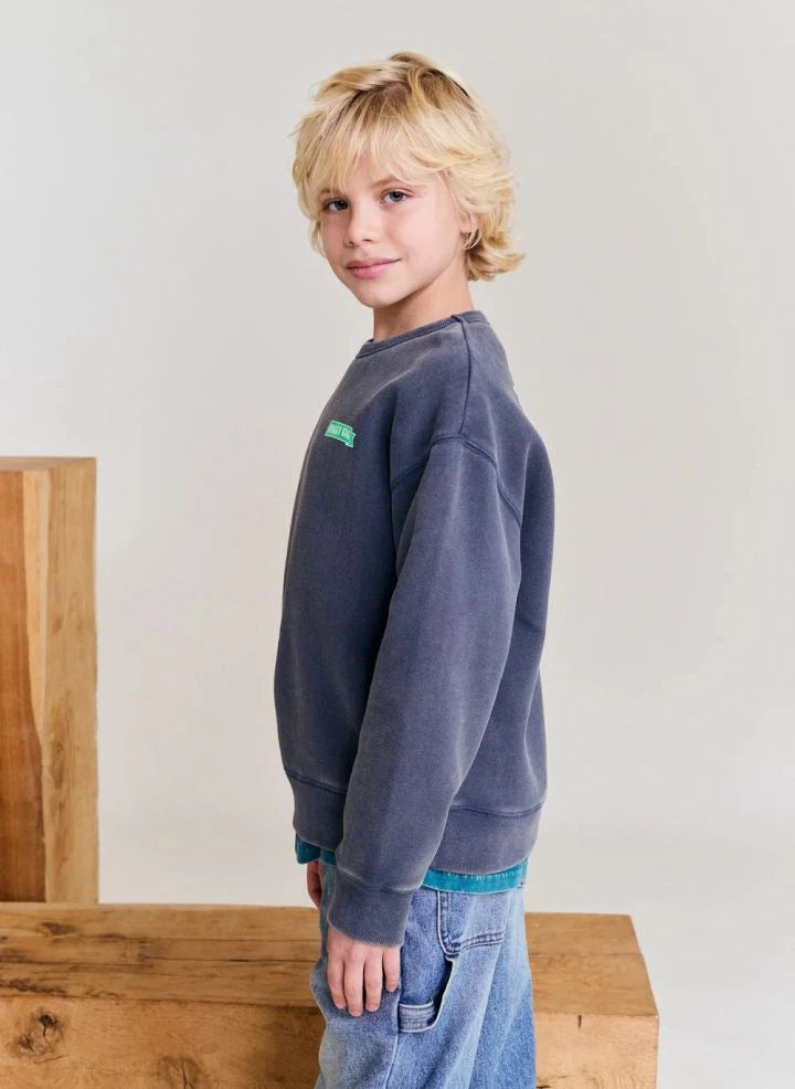 AO76 - Oscar Doggy recycled cotton sweatshirt | Charcoal gray