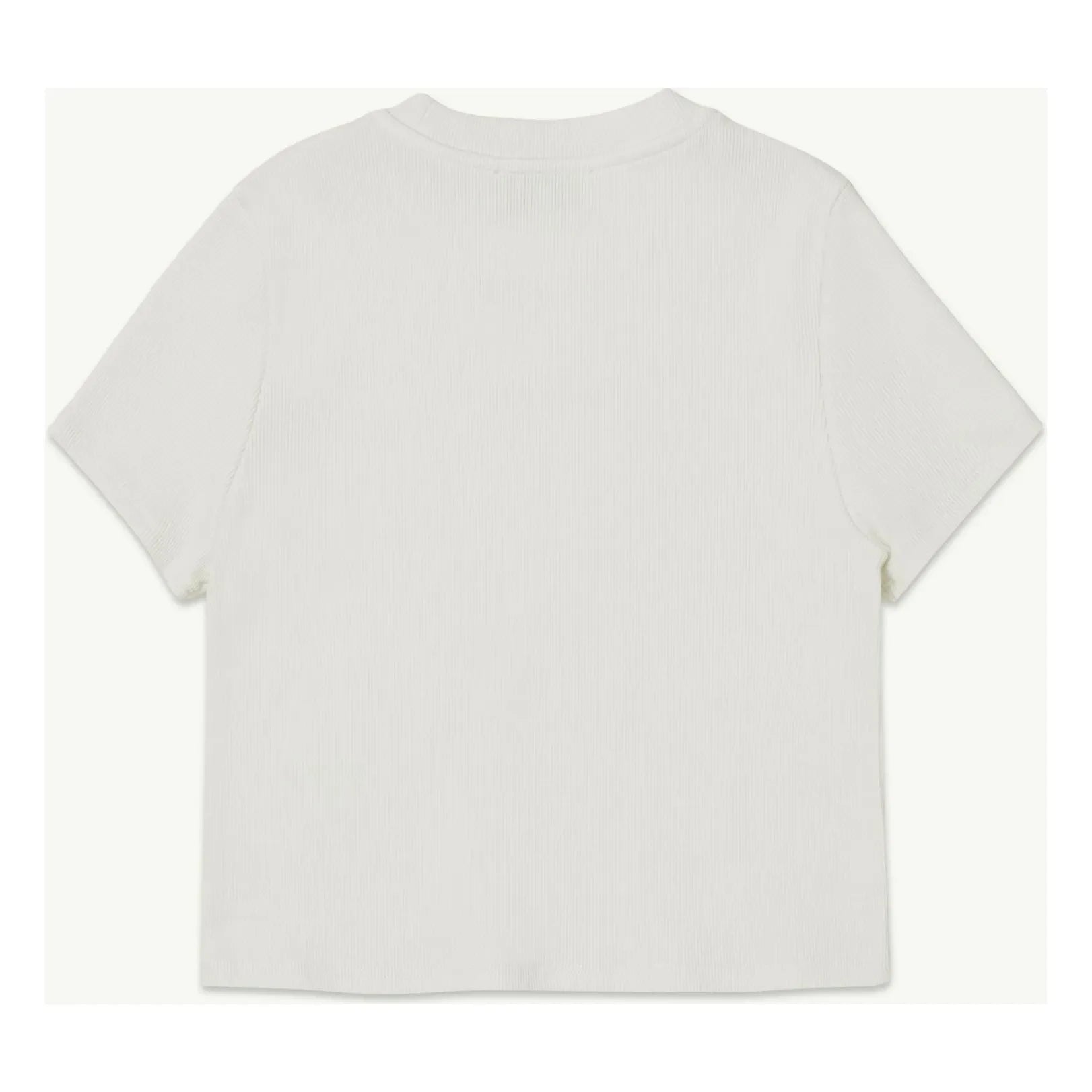 Main Story - Regular Organic Cotton T-Shirt | White