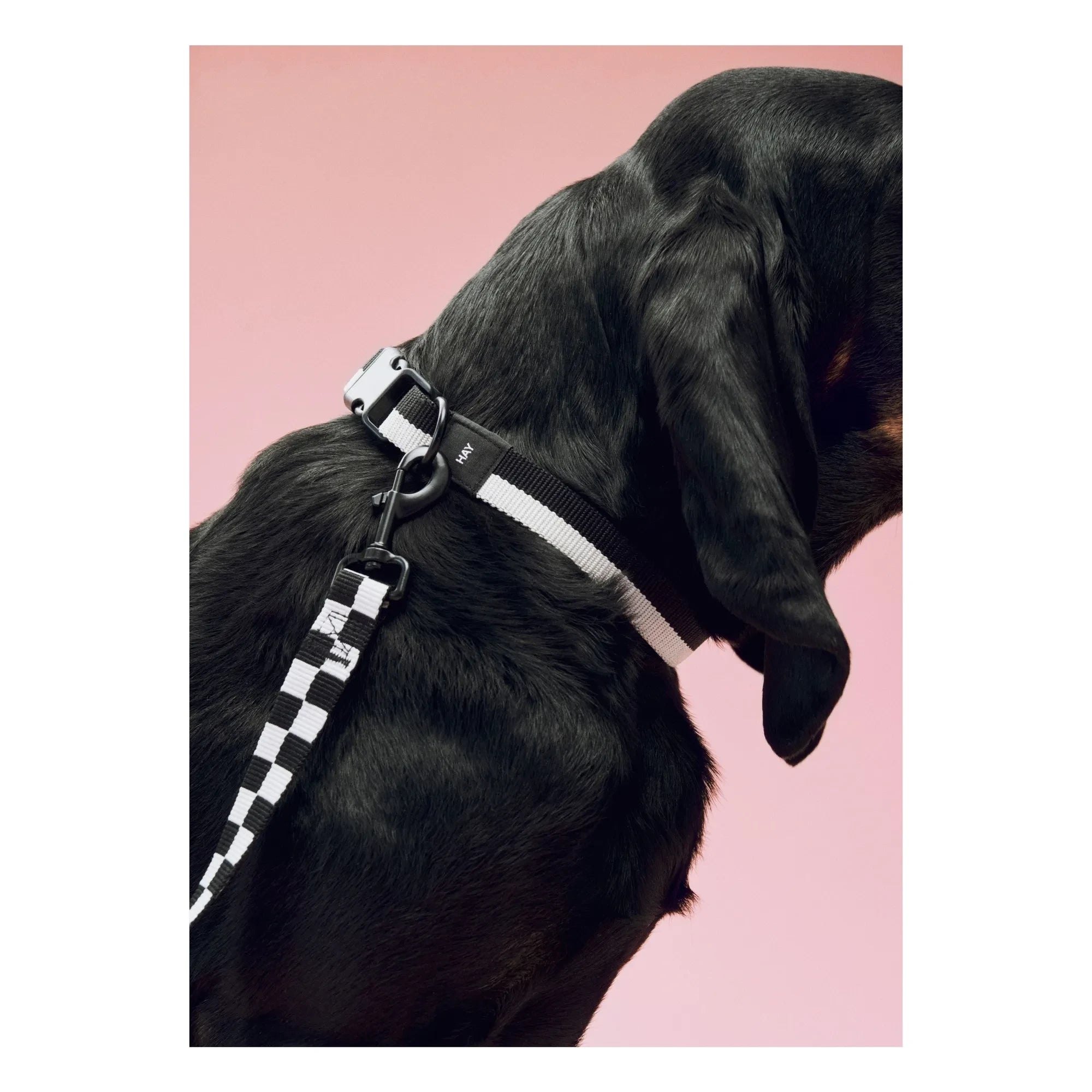 Hay - Black Necklace
