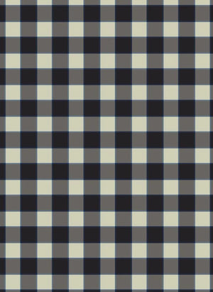 Fliink - Plaid Scarf | Brown