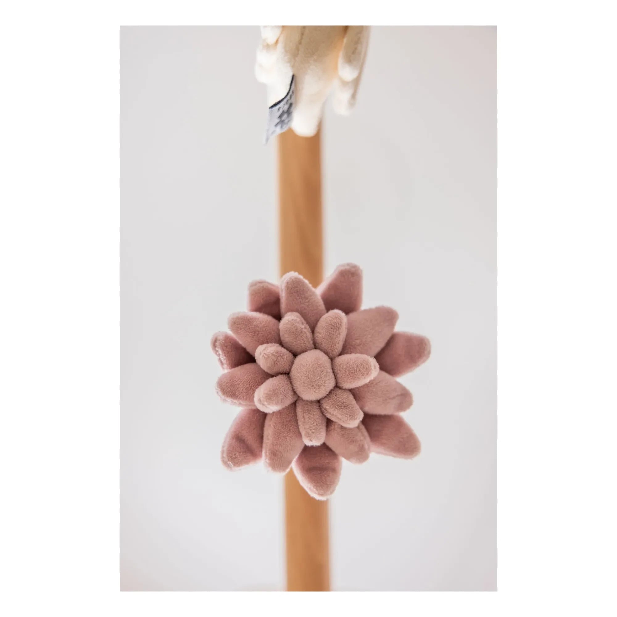 Sebra - Hanging Toys - Set of 3