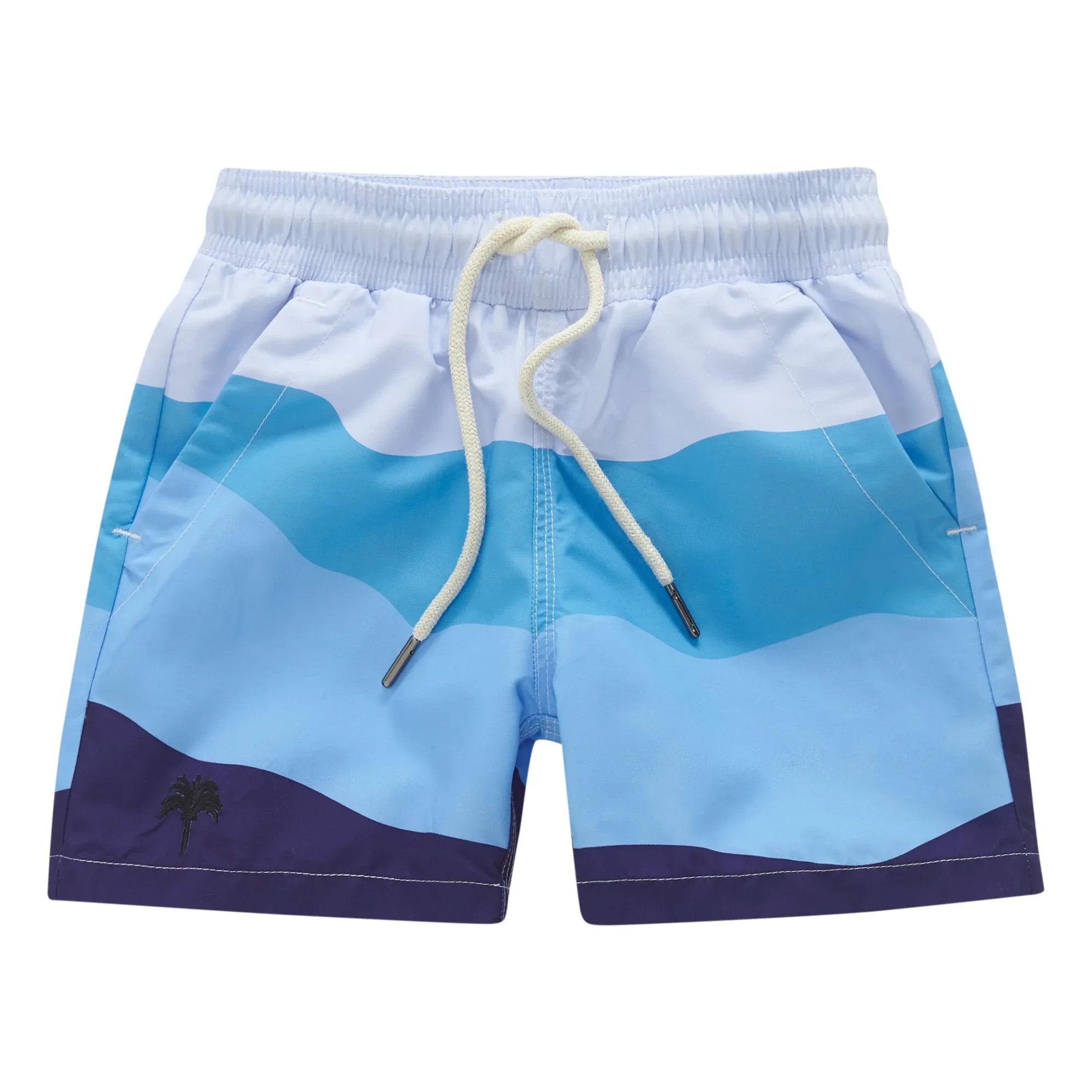 OAS - Ice Wave Swim Shorts | Blue