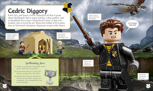Lego - LEGO Harry Potter Hogwarts Houses Figurine Toy with Figure English Activity and Story Book