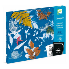 Djeco - First Cyanotype Kit