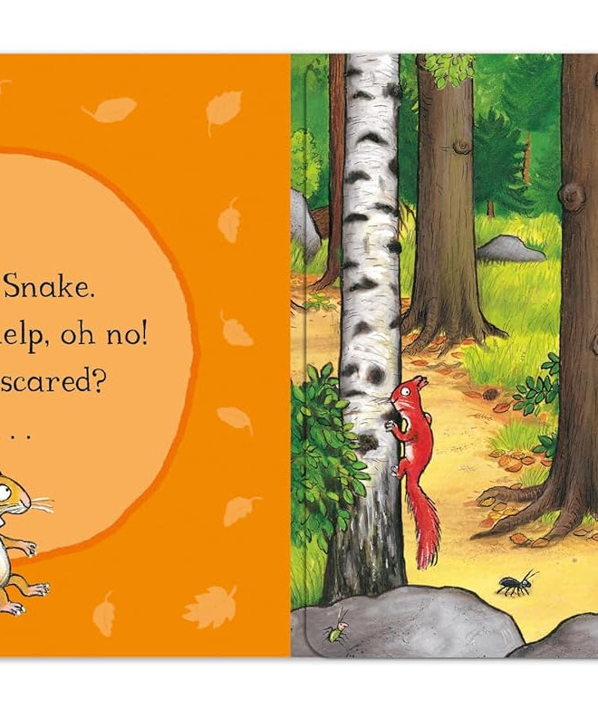 Pan Macmillan - Julia Donaldson and Axel Scheffler Gruffalo English Story Book