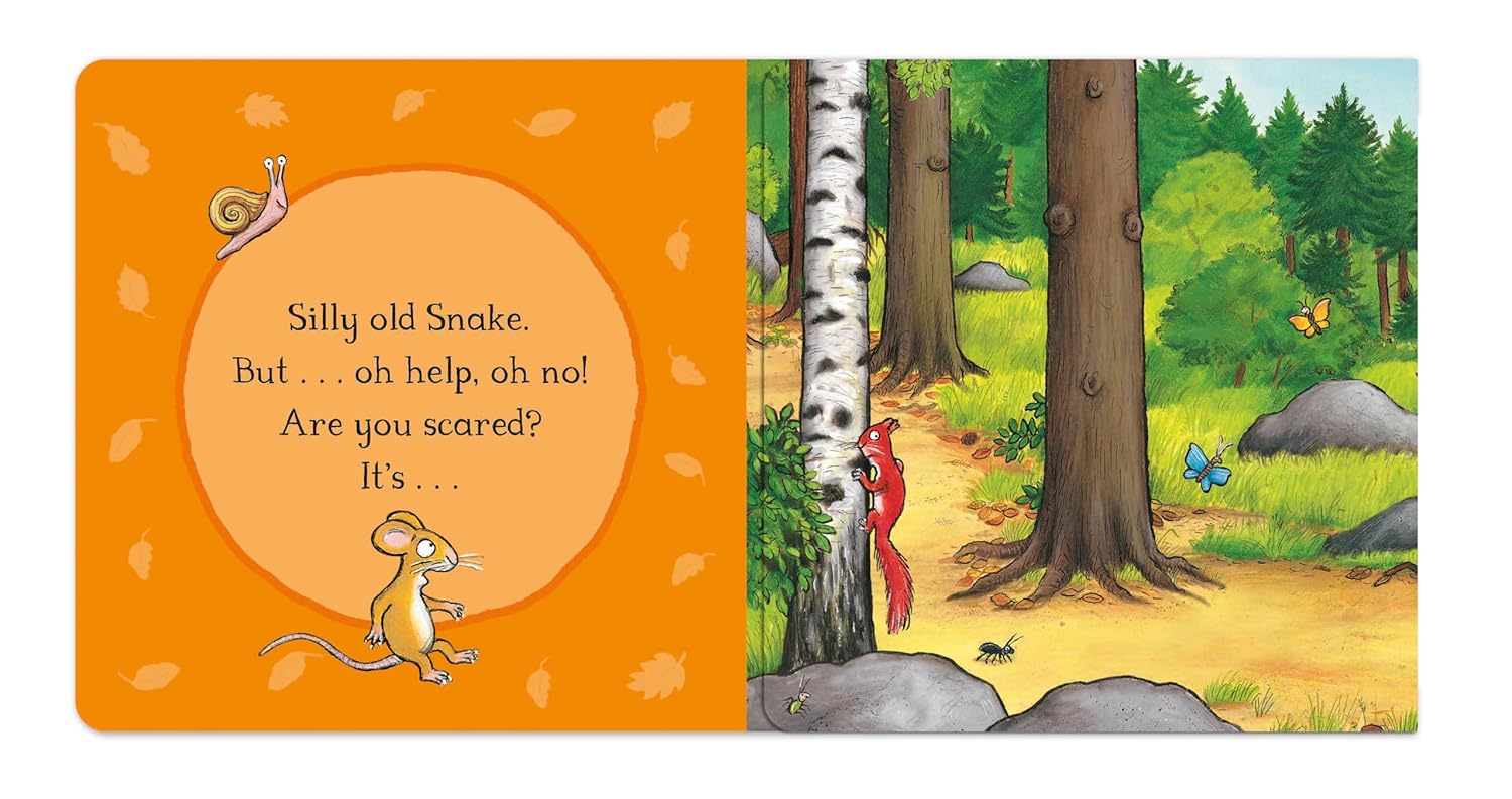 Pan Macmillan - Julia Donaldson and Axel Scheffler Gruffalo English Story Book