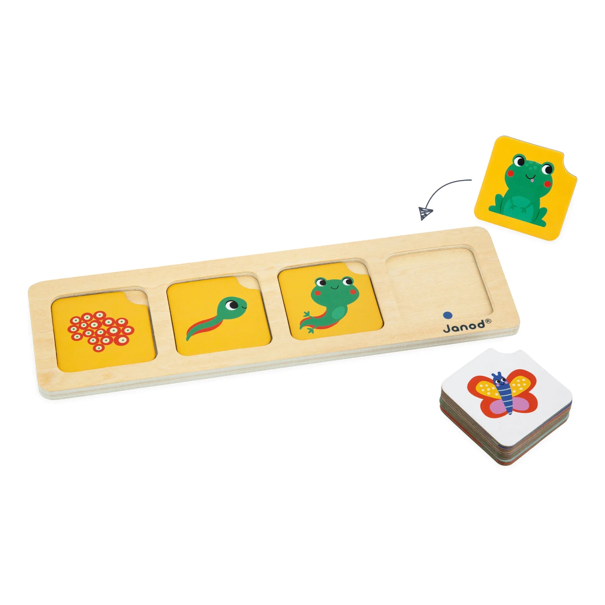 Janod - Garden Sorting Cards