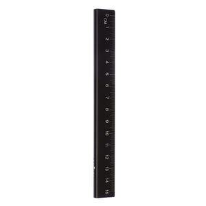 Smiggle - Metallic Ruler 15cm