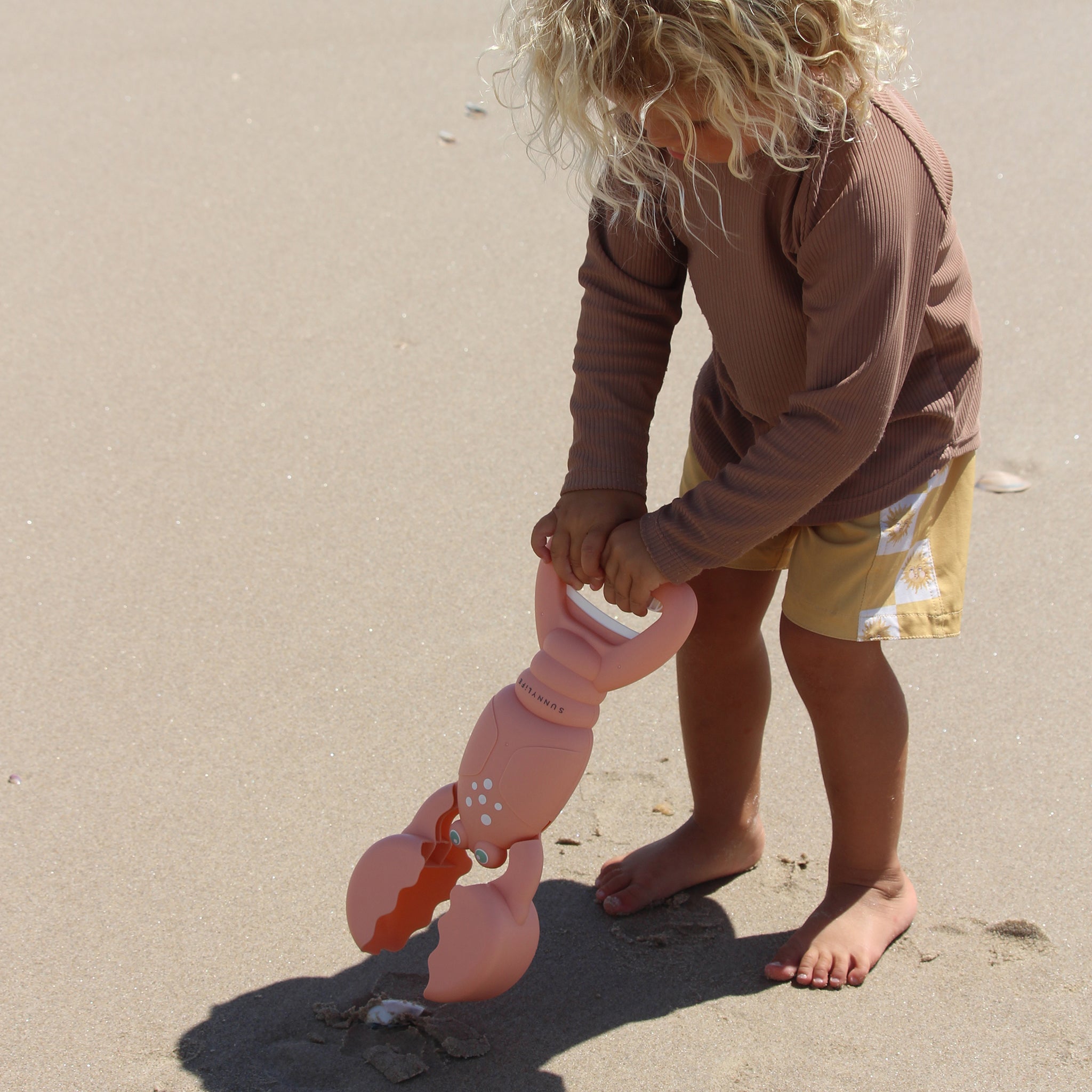 Sunnylife - Lobster Coral Sand Collecting Toy