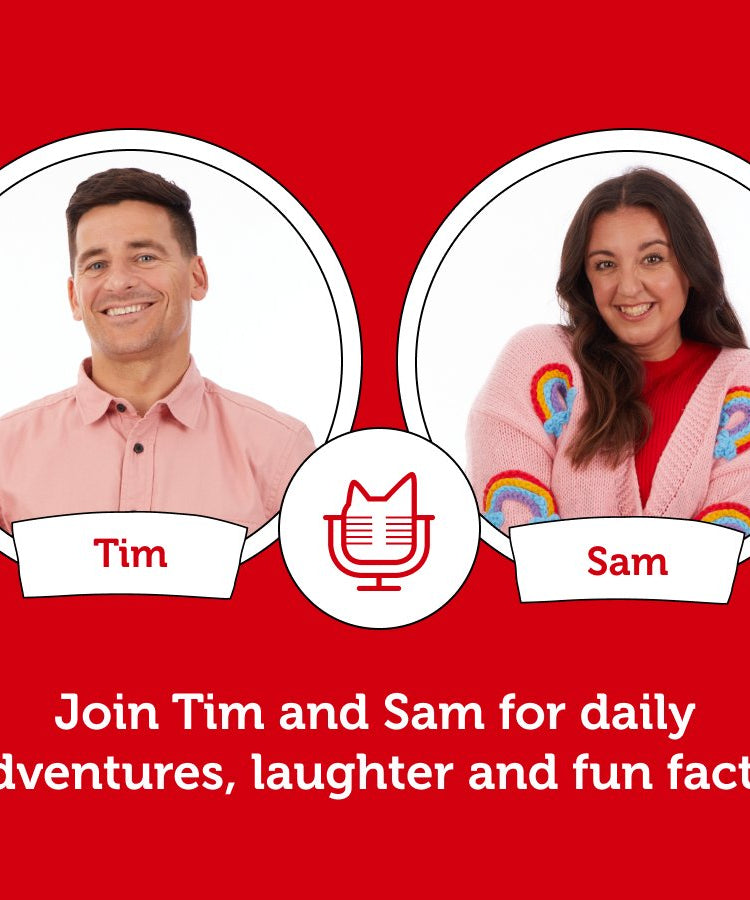 Tonies - English Daily Updated Podcast Figure