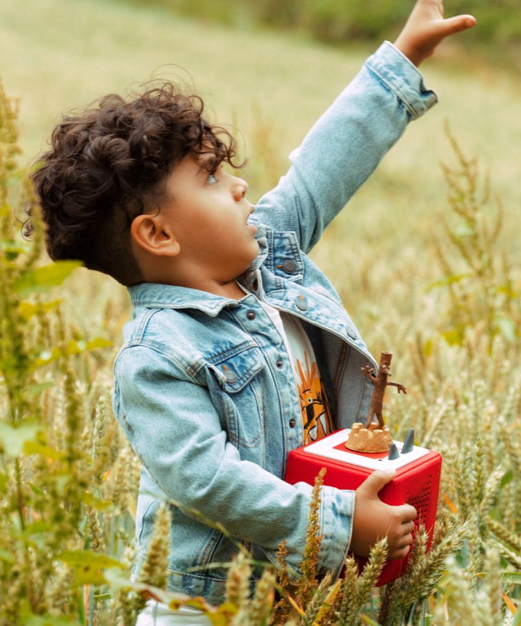 Tonies - Julia Donaldson Stick Man English Audio Figure