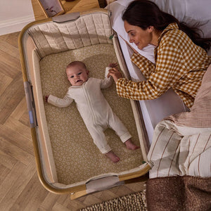 Tutti Bambini Cozee Sense Bedside Crib - Toasted Oak / Sand-Cribs-Toasted Oak / Sand- | Natural Baby Shower